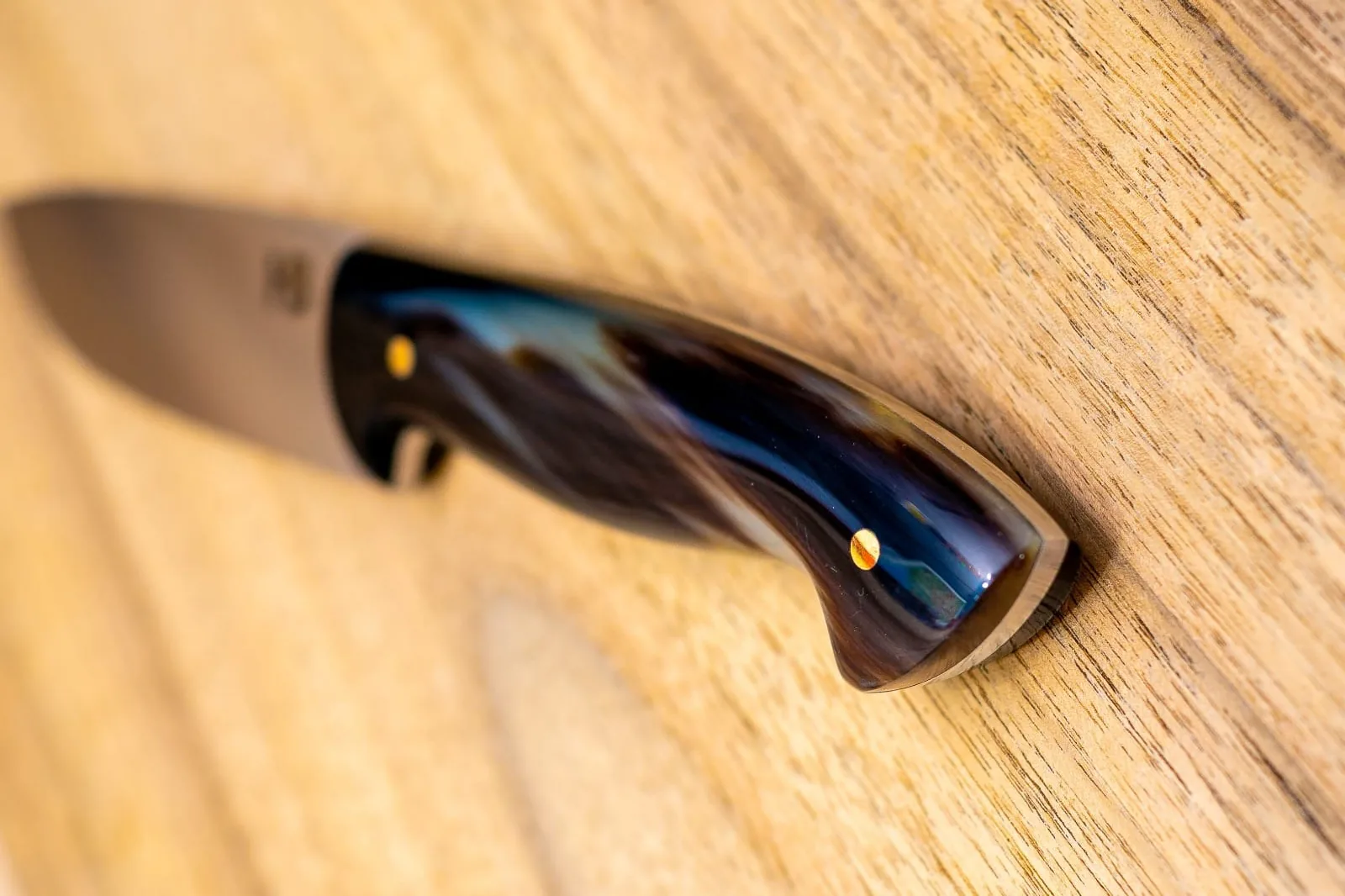 The Prairie Bison — hero