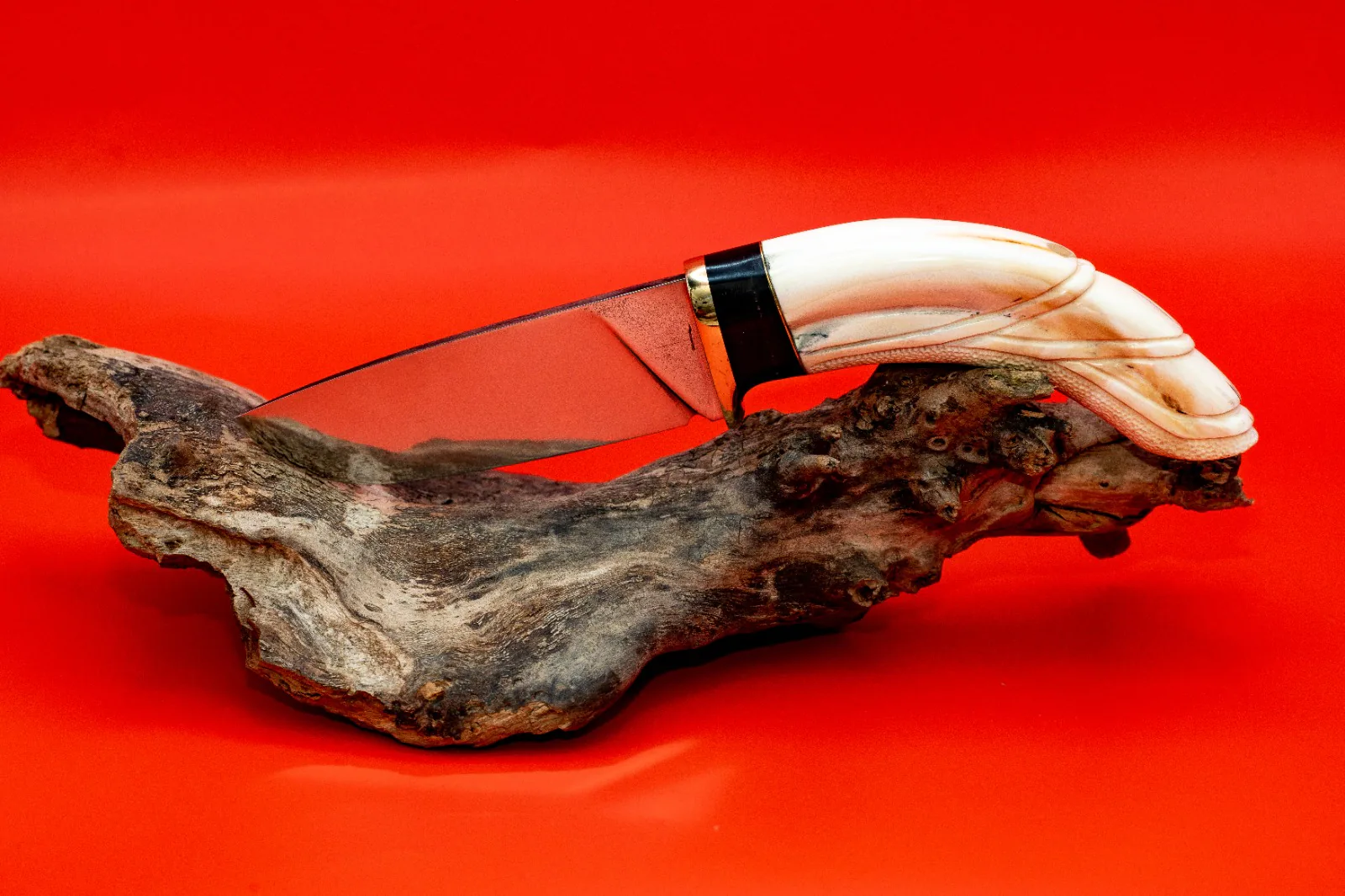 The Warthog Tooth — hero